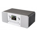 GoGen IR 257 BTDAB Internet Digital Silver GoGen IR 257 BTDAB Internet Digital Silver