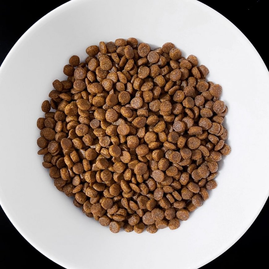 VET RESPONSE GASTROINTESTINAL dla kota 1,6 kg – 2