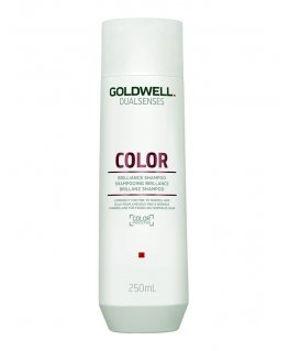 Goldwell Dualsenses Color 250 ml 2-in-1 Shampoo & Conditioner Unisex