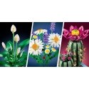 LEGO BOTANICALS 11509 Цветущий кактус