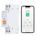 Avatto Älykäs rele DIN-kiskolle 230Vac, 16A, Wi-Fi TUYA, energiamittausominaisuudella Avatto Älykäs rele DIN-kiskolle 230Vac, 16A, Wi-Fi TUYA, energiamittausominaisuudella