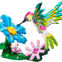 LEGO CREATOR 3 IN 1 31384 Meža Dzīvnieki: Krāsains Kolibri