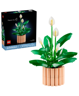 LEGO BOTANICALS 11504 Rahu Tänav
