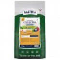 BALTICA EXCELLENT Aikuisille Lohta Hypoallergeeni M 12kg BALTICA EXCELLENT Aikuisille Lohta Hypoallergeeni M 12kg
