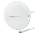 Qoltec Antena 4G 5G LTE | 9dBi | virziena | ārējā | N sieviešu | ūdensizturīga | 3m Qoltec Antena 4G 5G LTE | 9dBi | virziena | ārējā | N sieviešu | ūdensizturīga | 3m