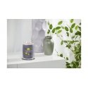 Yankee Candle Signature vahakynttilä Sylinteri Black tea (leaf), Sitruuna Harmaa 1 kpl Yankee Candle Signature vahakynttilä Sylinteri Black tea (leaf), Sitruuna Harmaa 1 kpl