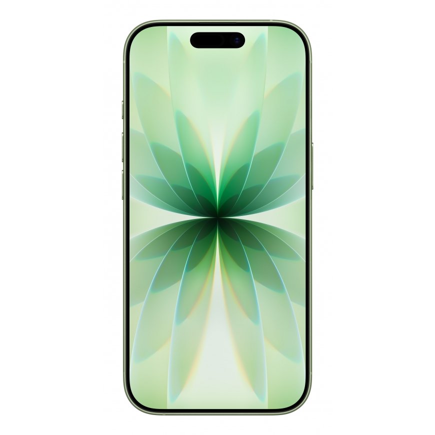 Apple iPhone 17 16 cm (6.3") Kaksois-SIM iOS 26 5G USB Type-C 256 GB Salvia – 2