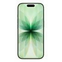 Apple iPhone 17 16 cm (6.3") Kaksois-SIM iOS 26 5G USB Type-C 256 GB Salvia Apple iPhone 17 16 cm (6.3") Kaksois-SIM iOS 26 5G USB Type-C 256 GB Salvia