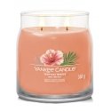 Yankee Candle Tropical Breeze vahaküünal Silinder Guajaav, Münt Oranž 1 tk