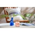 Yankee Candle Tropical Breeze vaško žvakė Cilindras Gvajava, Mėta Oranžinė 1 vnt