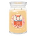 Yankee Candle 2653159E vahaküünal Ümmargune Kollane 1 tk Yankee Candle 2653159E vahaküünal Ümmargune Kollane 1 tk
