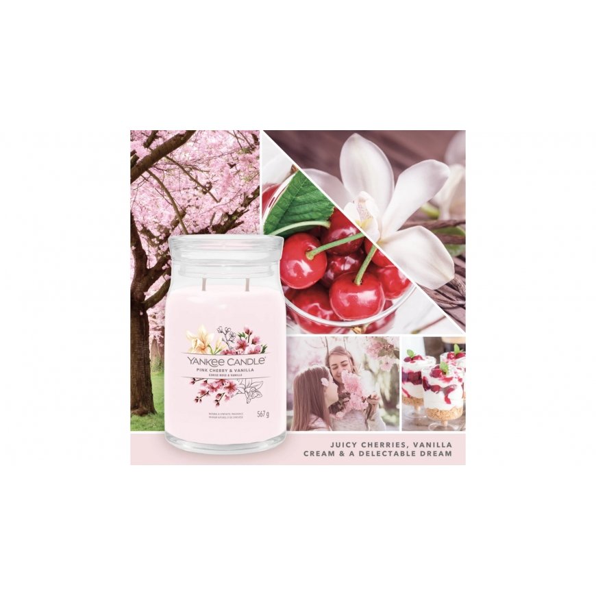 Yankee Candle Signature vahakynttilä Sylinteri Cherry (hedelmä), Vanilja Vaaleanpunainen 1 kpl – 3