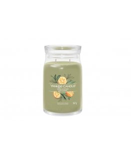 Yankee Candle Sage & Citrus wax candle Cylinder Green 1 pc(s)