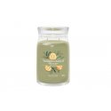 Yankee Candle Sage & Citrus vaska svece Cilindrs Citrusa Zaļš 1 pcs Yankee Candle Sage & Citrus vaska svece Cilindrs Citrusa Zaļš 1 pcs