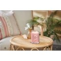 Yankee Candle 1629962E vaško žvakė Cilindras Citrusinių vaisių, Gėlių, Vanilė Rožinė 1 vnt