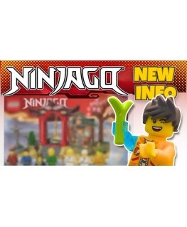 LEGO NINJAGO 71866 Ninja Anniversary Display