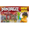 LEGO NINJAGO 71866 Выставка Ниндзя в Честь Юбилея