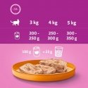 Bozita Mousse Sekoitettu Meri 12x85g Bozita Mousse Sekoitettu Meri 12x85g