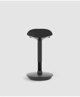 Flexispot Biuro kėdė BH4B