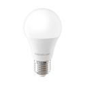 Forever Light LED Bulb E27 A55 4W 480lm 6000K class E Forever Light LED Bulb E27 A55 4W 480lm 6000K class E