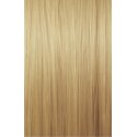 Wella Illumina Color 10/36 Lightest Gold Violet Blonde 60 ml Wella Illumina Color 10/36 Lightest Gold Violet Blonde 60 ml