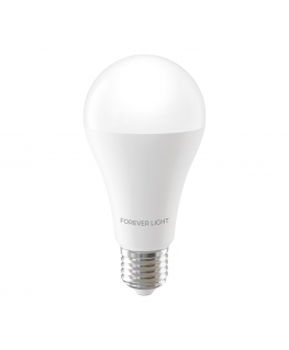 Forever Light LED Bulb E27 A65 17W 2100lm 4000K class E