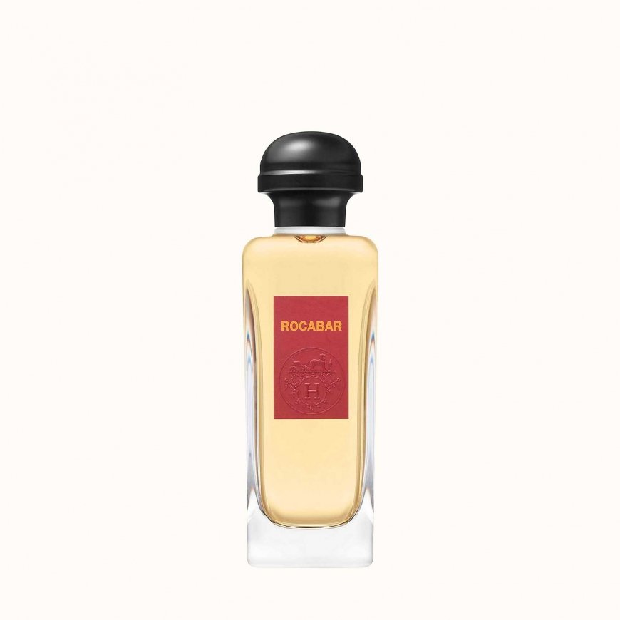 Hermes Rocabar 100 ml Mehed