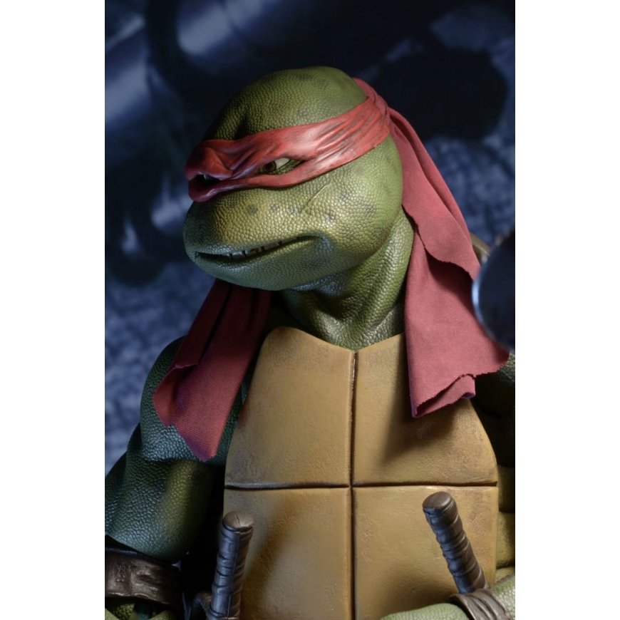Neca Teenage Mutant Ninja Turtles Cartoon