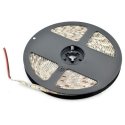 OEM LED lentes SMD5050 IP65 14.4W, 60 LED/m, 10mm, dabiski balta - 5m OEM LED lentes SMD5050 IP65 14.4W, 60 LED/m, 10mm, dabiski balta - 5m