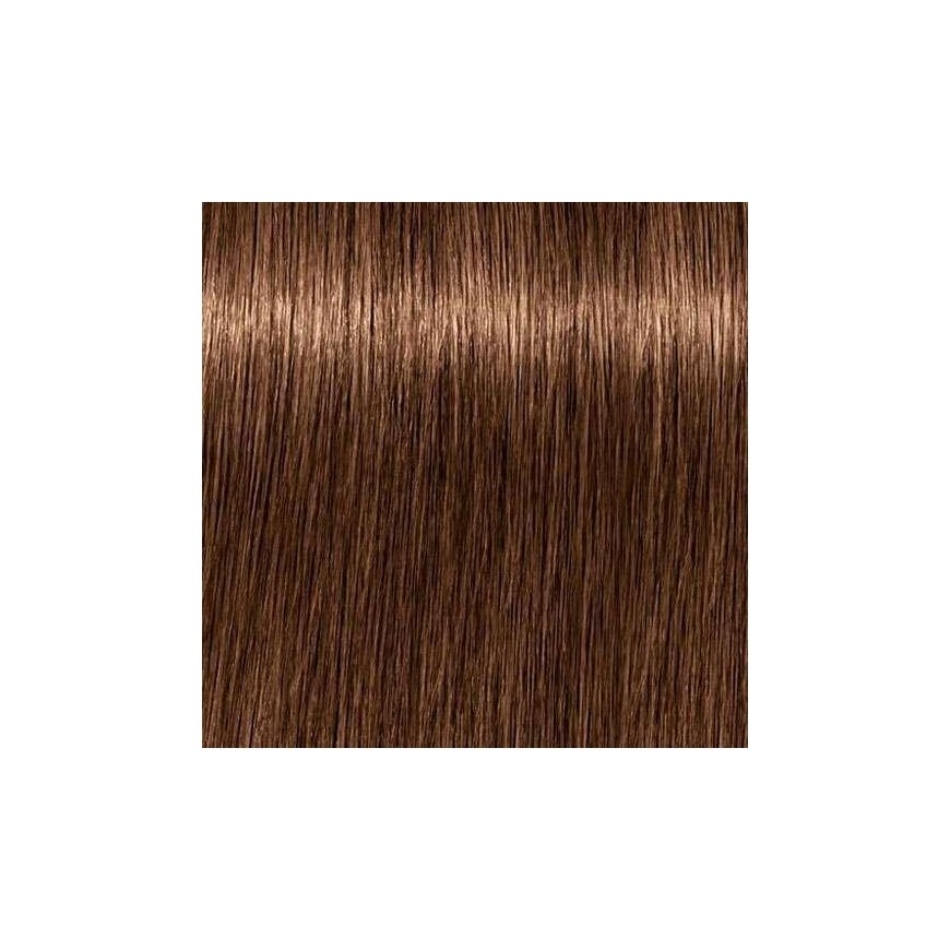 Schwarzkopf Igora Royal Absolutes ilgstošas pelēkās