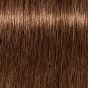 Schwarzkopf Igora Royal Absolutes pika püsivate hallide juuste värv 60 ml - 7-460 Schwarzkopf Igora Royal Absolutes pika püsivate hallide juuste värv 60 ml - 7-460