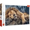 Trefl 10447 dėlionė 1000 vnt Trefl 10447 dėlionė 1000 vnt