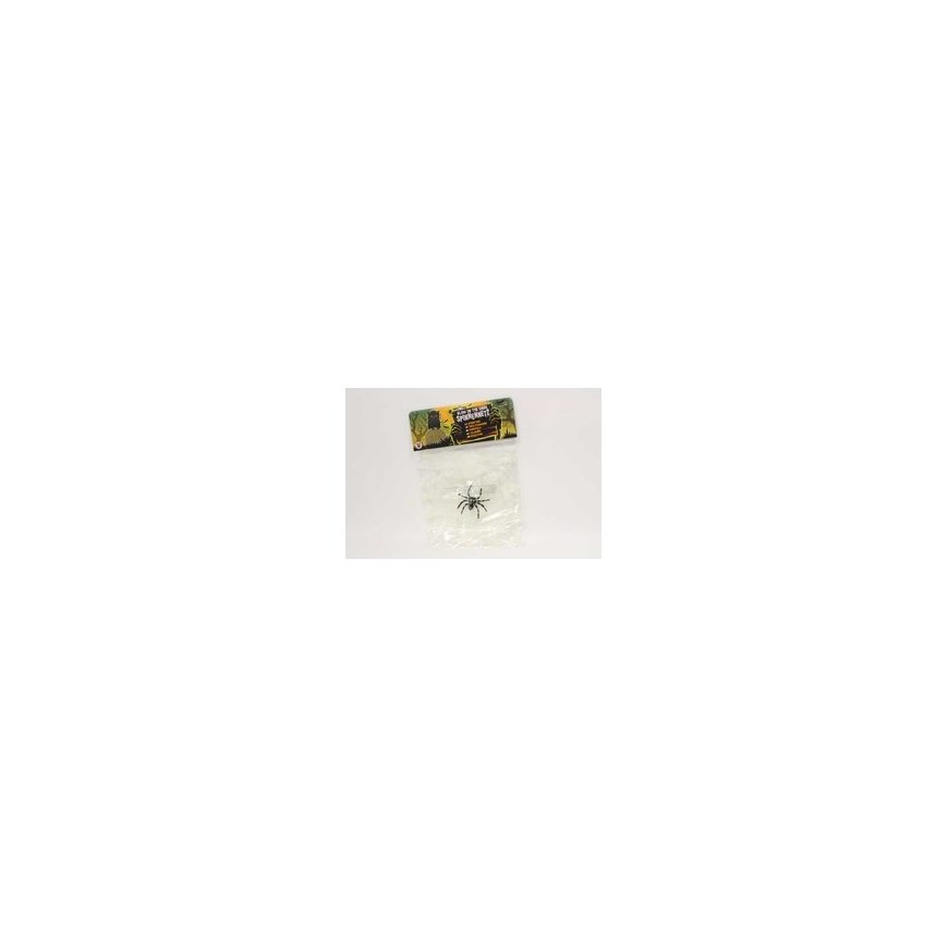 Trendhaus Zombie Zone - Window Decoration - Spider Web with Spider (Glow in the Dark) (TH960474) – 2