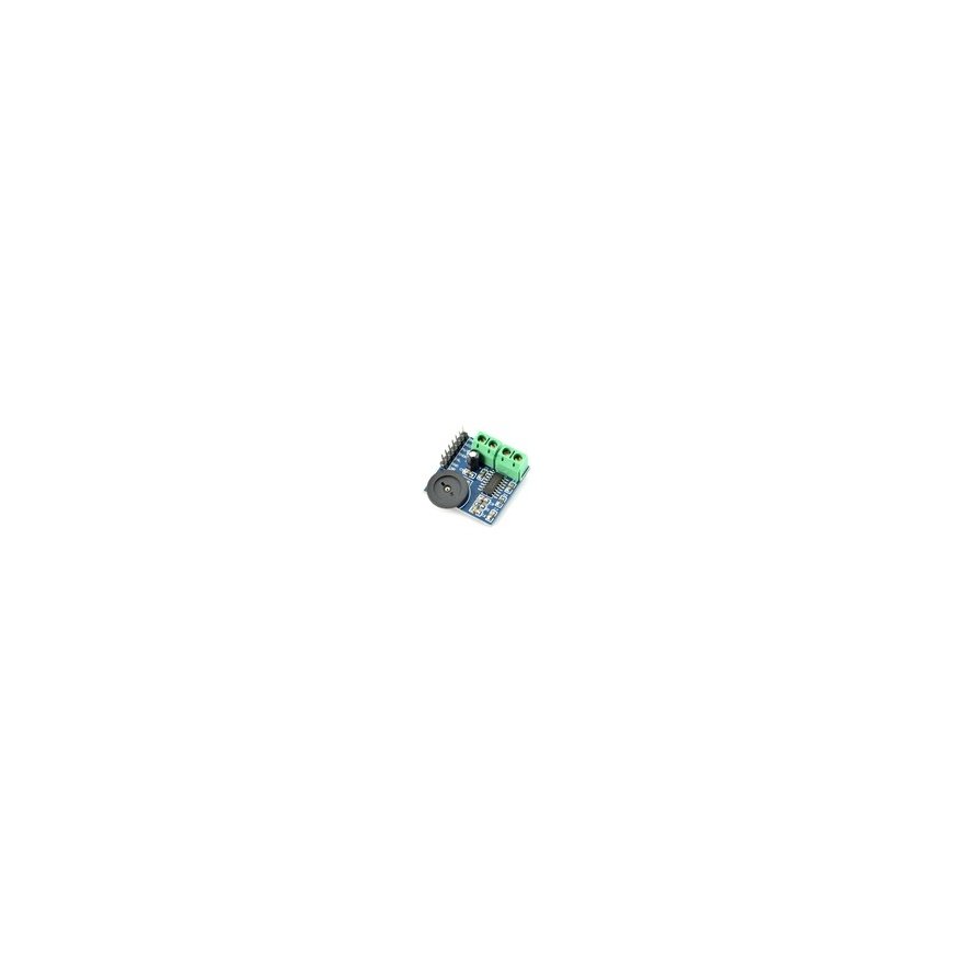 OEM Stereo Audio Amplifier 2x3W 5V PAM8403 – 2