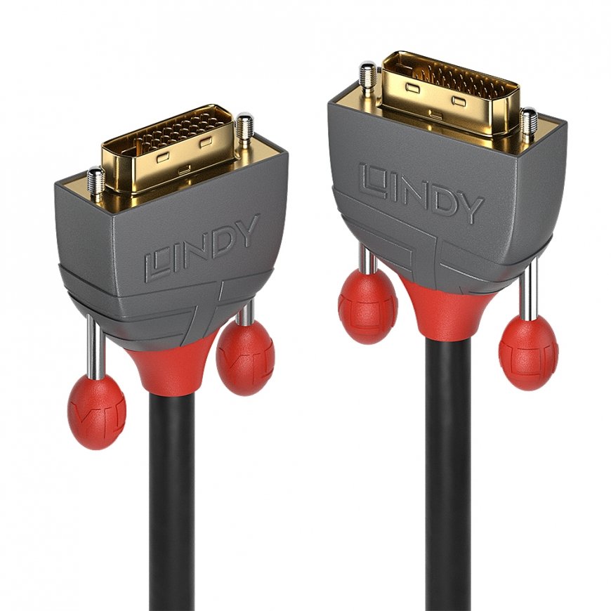 Lindy 36222 DVI kabelis 2 m