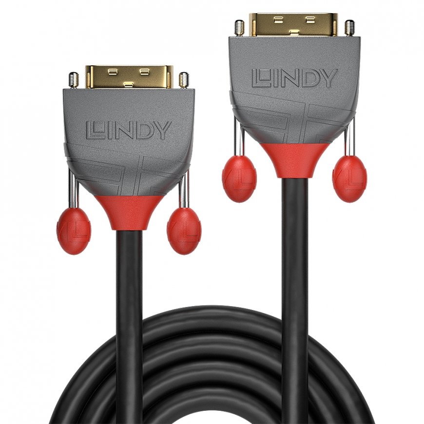 Lindy 36222 DVI кабель 2 m DVI-D Черный – 2