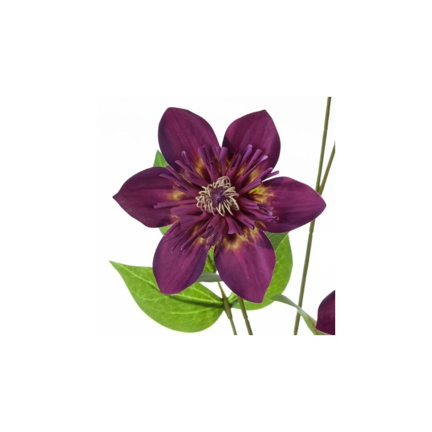 Eurofirany KW/NATU/393/FIOL FIOL – 2