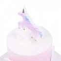 PME CA165 cake candle/sparkler Multicolour 1 pc(s) PME CA165 cake candle/sparkler Multicolour 1 pc(s)