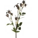 Eurofirany KW/NATU/438/BROWN КОРИЧНЕВЫЙ Eurofirany KW/NATU/438/BROWN КОРИЧНЕВЫЙ