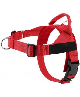 Oem Petnešos šunīm REFLECTIVE SILK izmērs XS sarkans