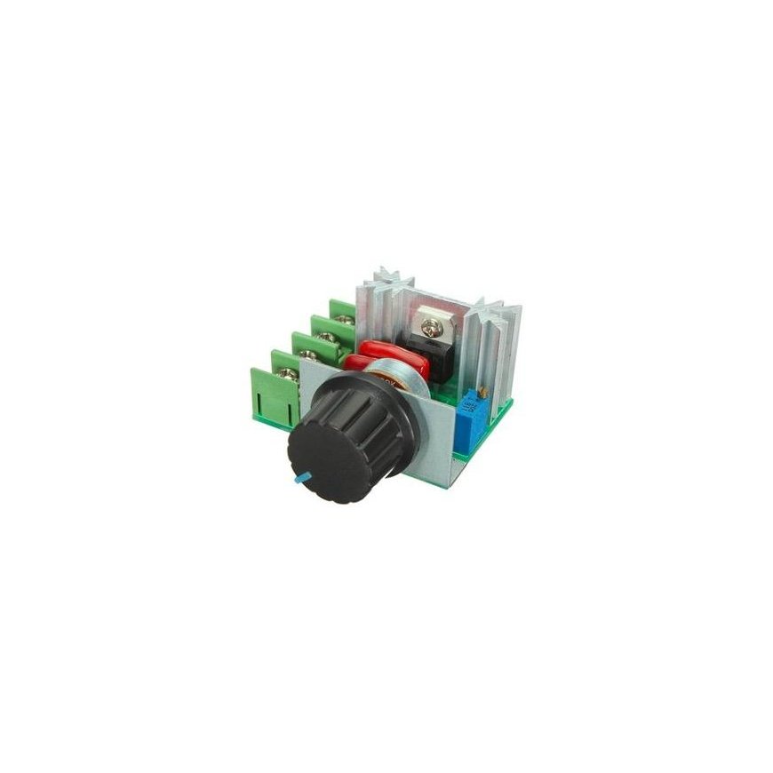 OEM AC mootoriregulaator SCR 220V 2000W