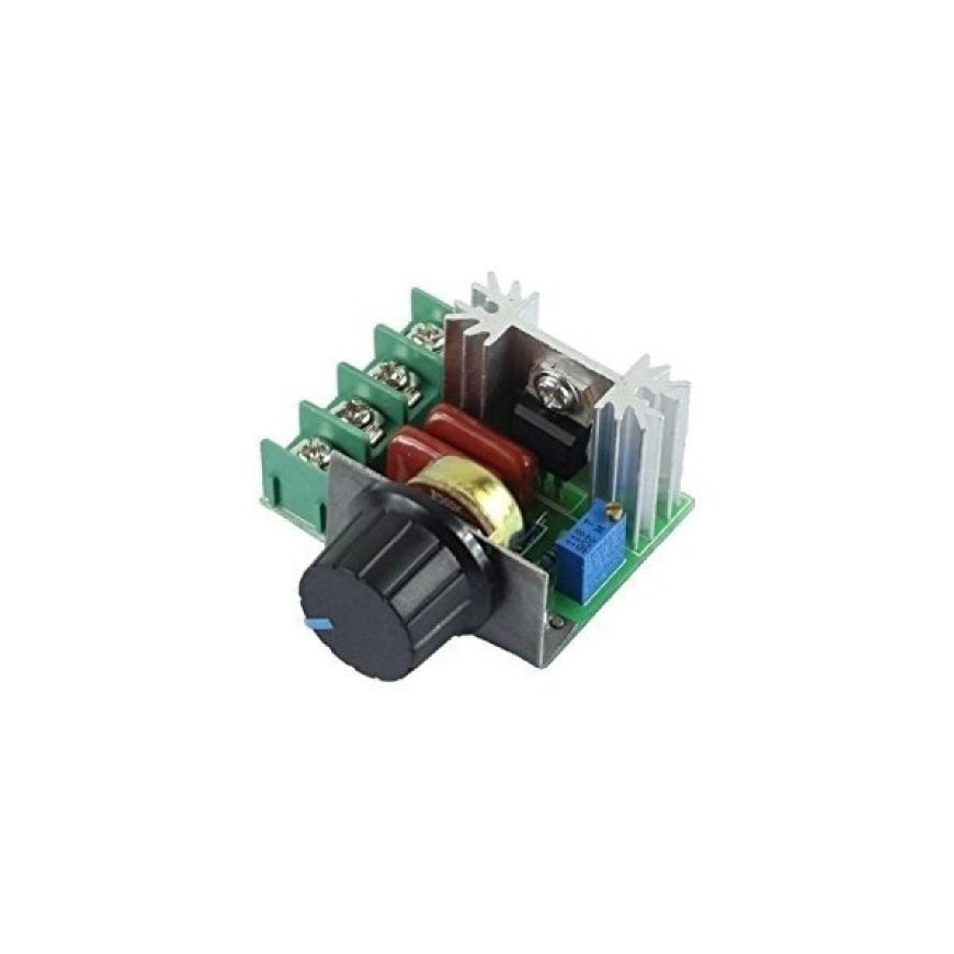 Oem AC-moottorin säätimen SCR 220V 2000W – 2