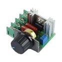 OEM AC motor controller SCR 220V 2000W