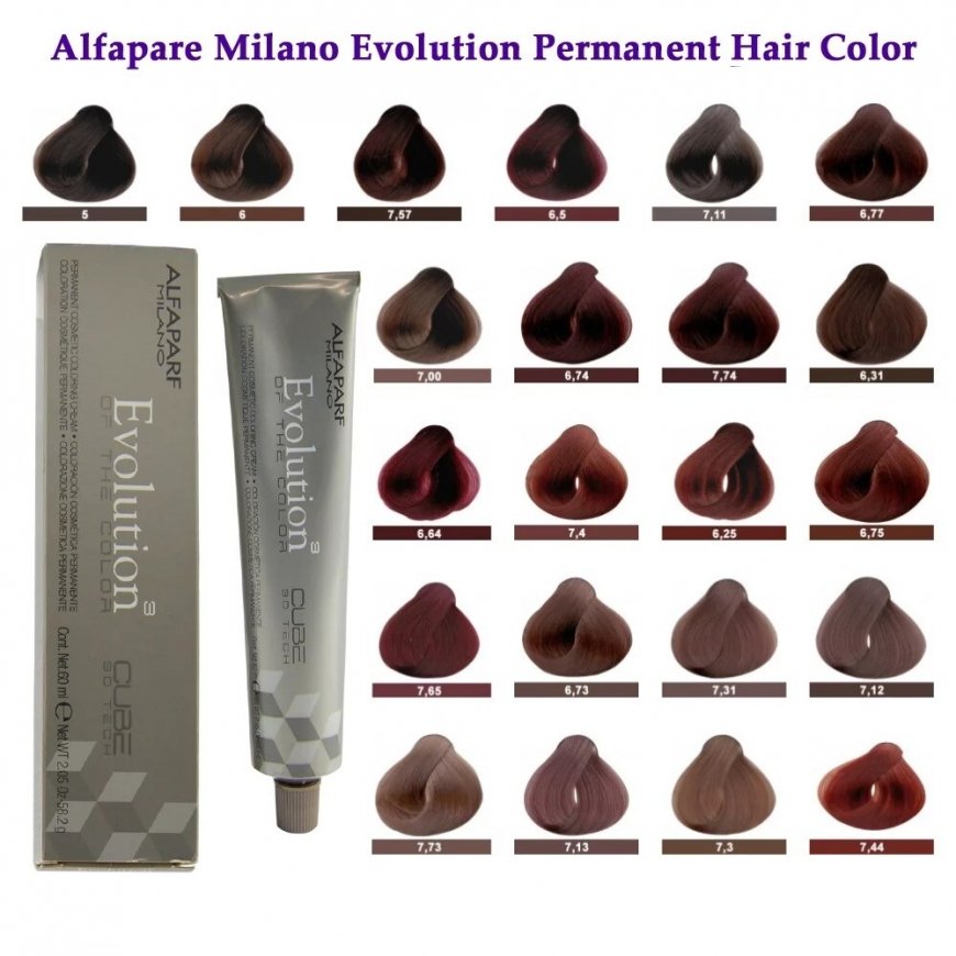 Alfaparf Evolution hiusväri, 60ml - 5,5 | Vaalea mahonkiharjo – 2