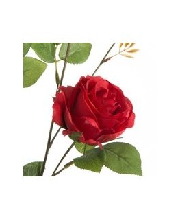 Eurofirany KW/NATU/450/CZER Red