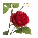 Eurofirany KW/NATU/450/CZER Red Eurofirany KW/NATU/450/CZER Red
