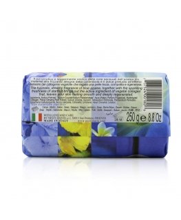 NESTI DANTE PHILOSOPHIA COLLAGEN ziepes, 250 g