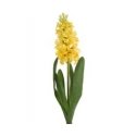 Eurofirany KW/NATU/469/Yellow Yellow Eurofirany KW/NATU/469/Yellow Yellow