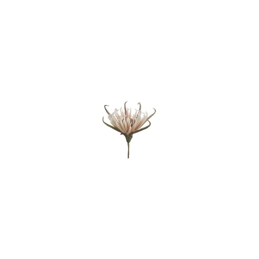 Eurofirany KW/FLORE/827/SRE Silver