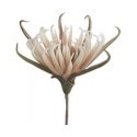 Eurofirany KW/FLORE/827/SRE Silver Eurofirany KW/FLORE/827/SRE Silver
